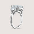 Asscher with Trapz