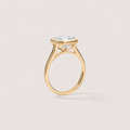 Bezel Asscher