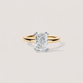 Double Prong Radiant