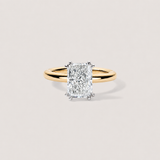 Double Prong Radiant