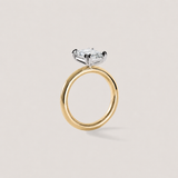 Double Prong Radiant
